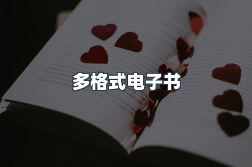 多格式电子书